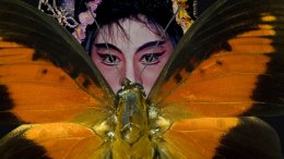 La Chinoise Et Le Papillon
